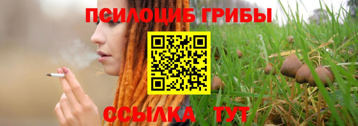 Городец  Галлюциногенные грибы Magic Shrooms  Вход с VPN 